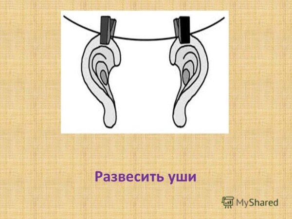 Развесить уши значение фразеологизма