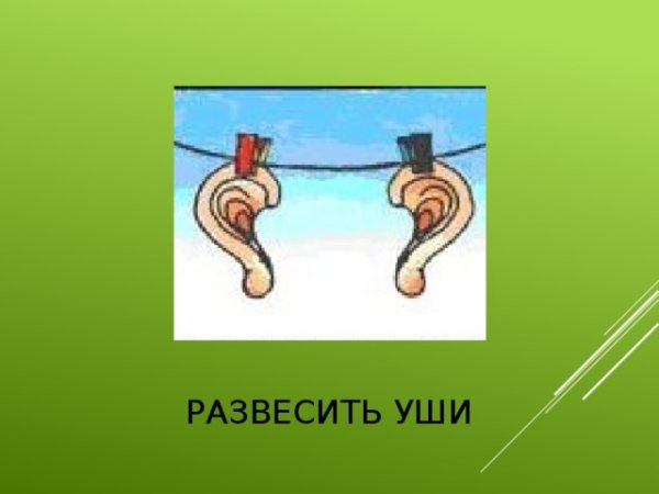 Фразеологизм развесить уши