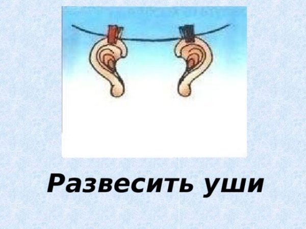 Развесить уши