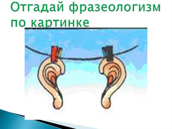 Развесить уши