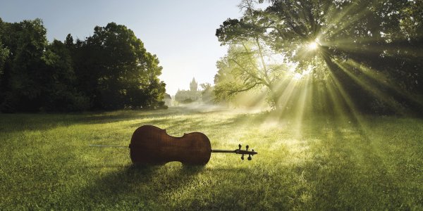 Музыкальные инструменты на природе