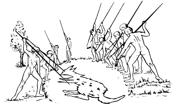 Физическая культура в первобытном и рабовладельческом обществе