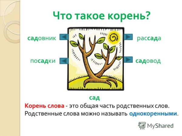 Схема родственных слов 2 класс