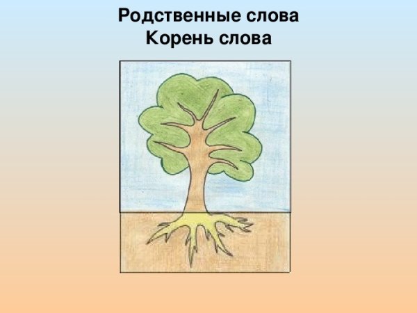 Дерево родственных слов