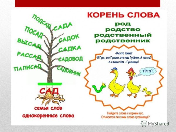 Корень слова