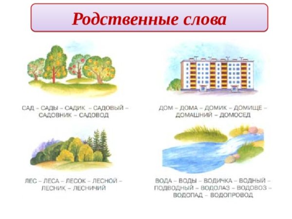 Родственные слова для дошкольников в картинках