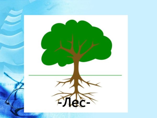 Дерево родственных слов