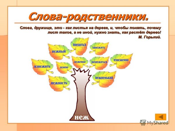 Родственные слова