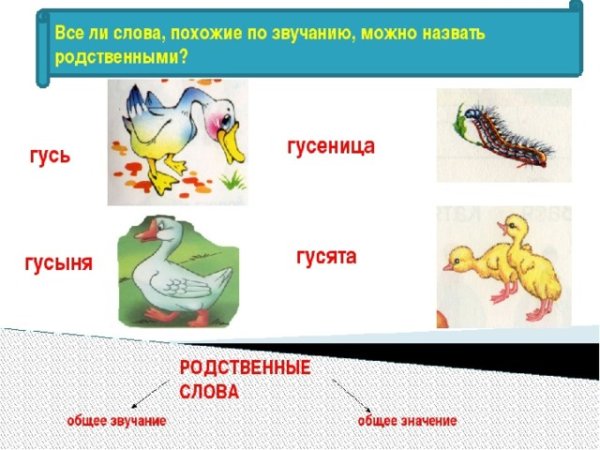 Корень слова корень