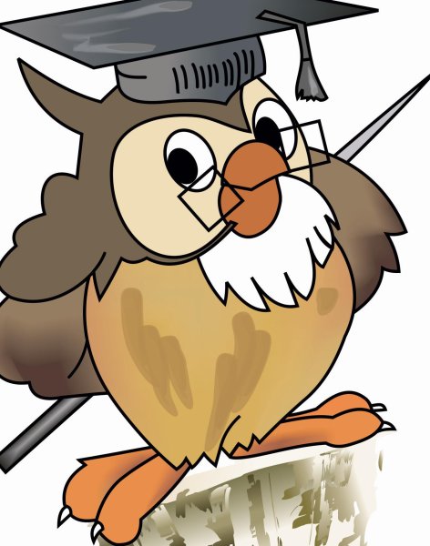 Сова с указкой