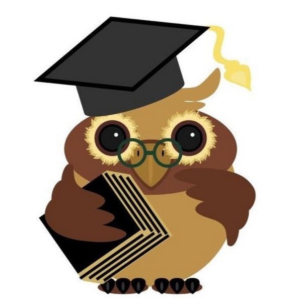 Умная Сова в очках