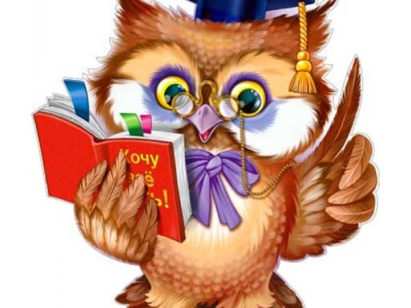Мудрая Сова