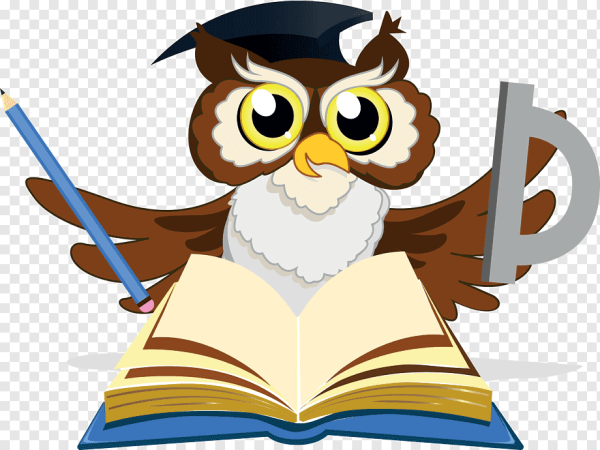 Сова с указкой вектор