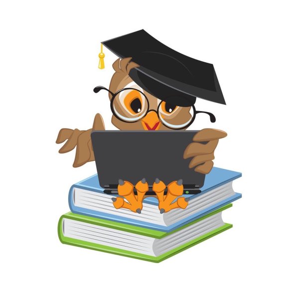 Птица знаний