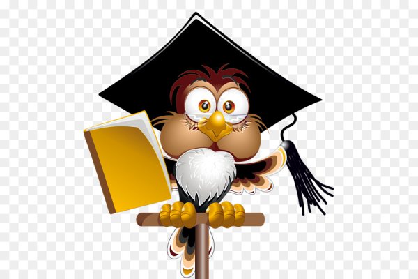 Сова с книгой