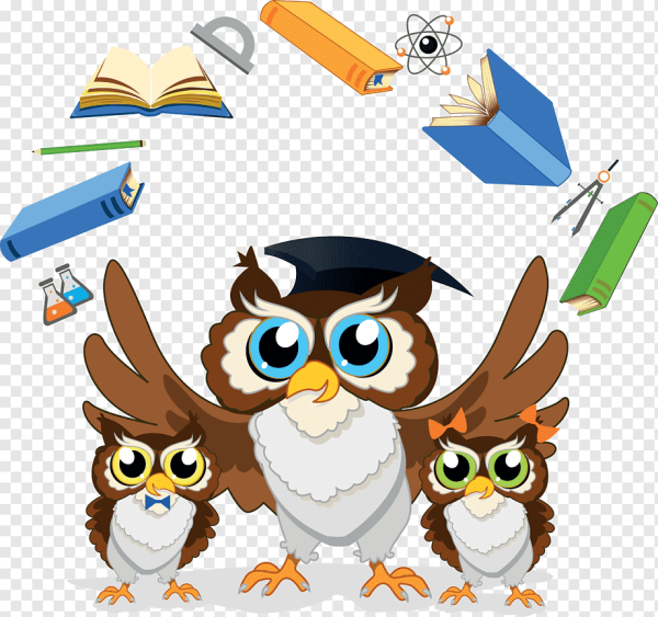 Совушки ученики