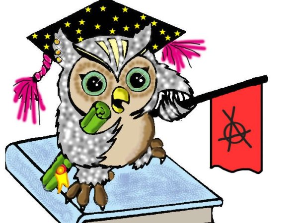 Символ школы Сова