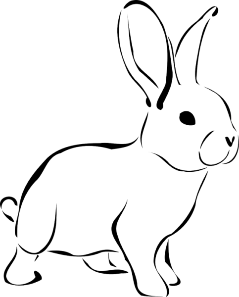 Кролик контур
