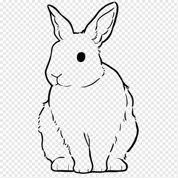 Лайны кроликов