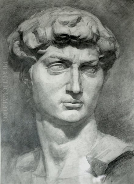 Гипсовая голова Давида