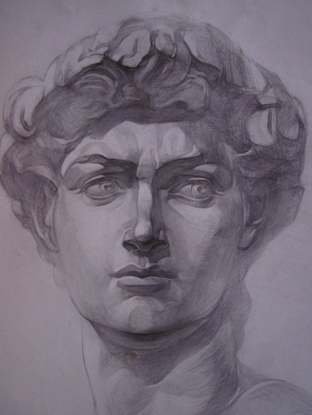 Гипсовая голова Давида рисунок