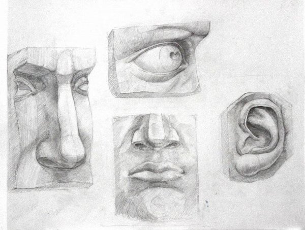 Академический портрет Давид