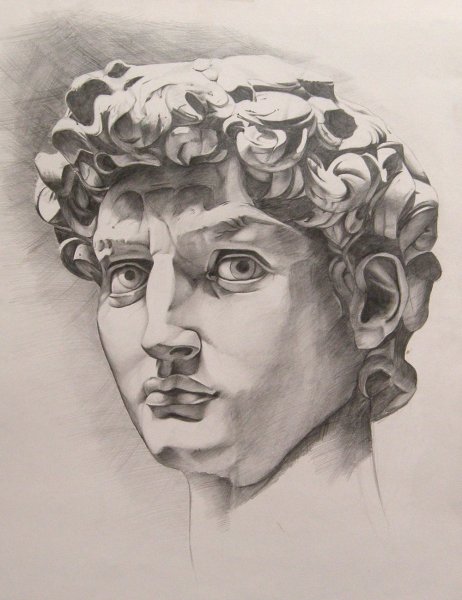 Гипсовая голова Давида Леонардо