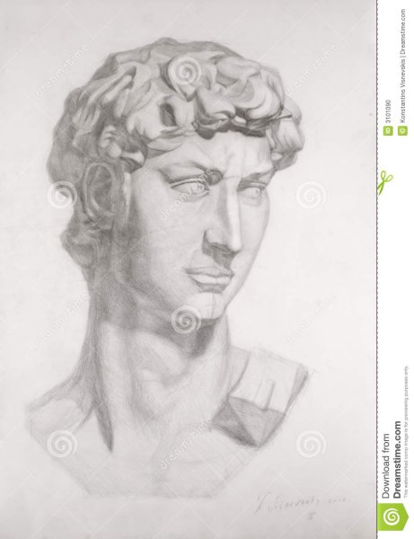 Андрей Томский Академический рисунок