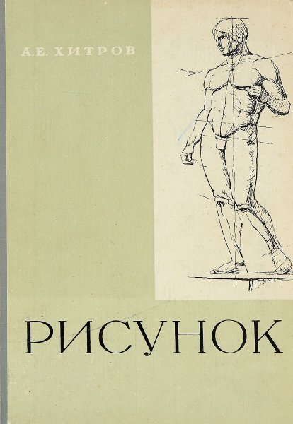 Могилевцев анатомия фигуры человека
