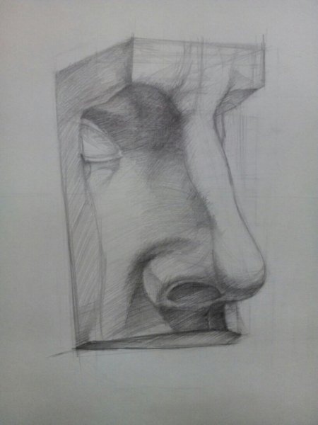 Нос Давида Академический