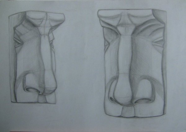 Нос Давида Академический