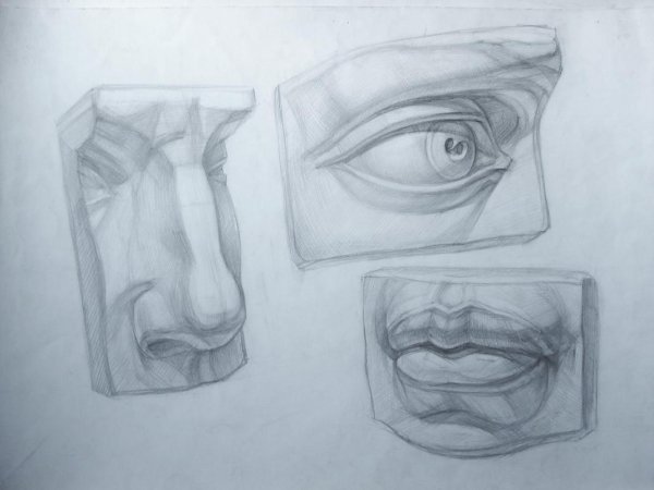 Гипсовые слепки головы Давида глаза построение