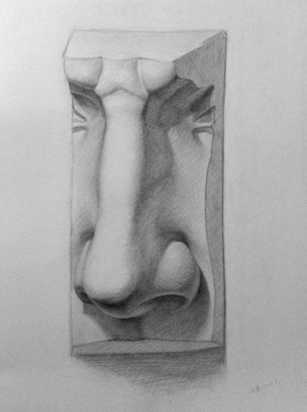 Гипсовый нос Давида рисунок