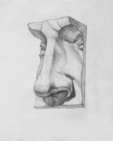 Нос Давида Академический рисунок