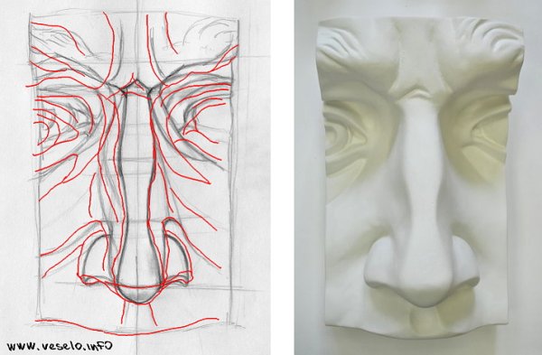 Обрубовка носа Давида