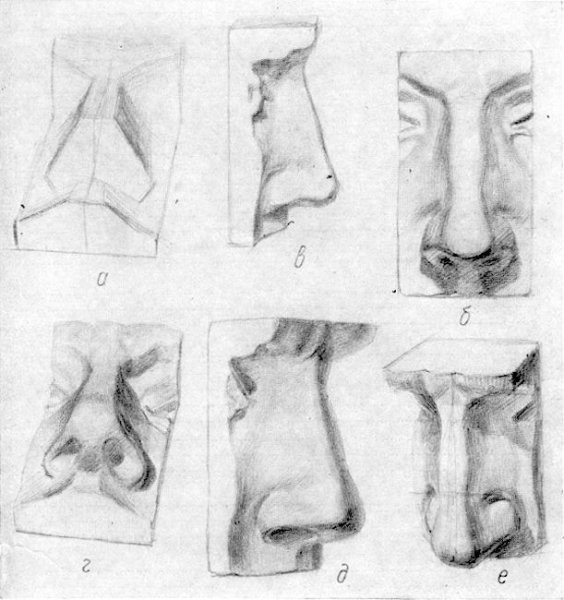 Нос Давида анфас