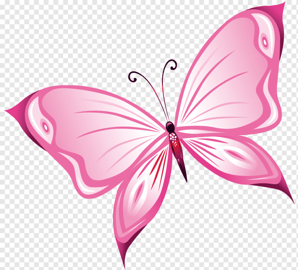 Розовые бабочки на белом фоне