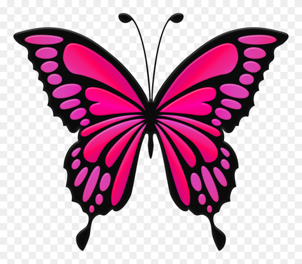 Бабочка рисунок