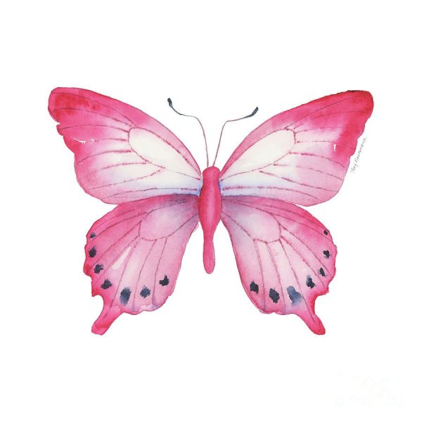 Розовые бабочки