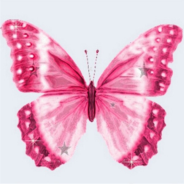 Красивые розовые бабочки