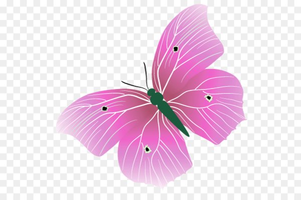 Розовые бабочки на белом фоне