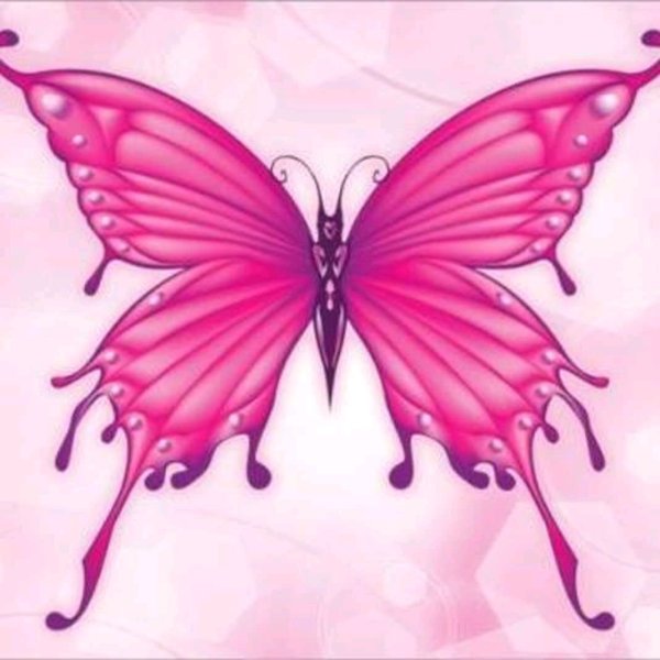 Ярко розовая бабочка