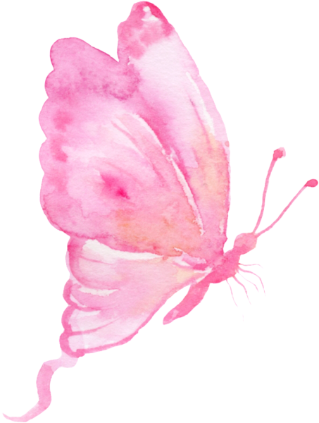 Розовые бабочки