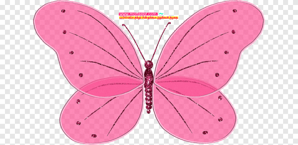 Розовая бабочка мультяшная