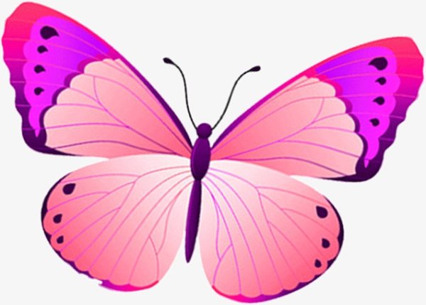 Розовые бабочки на белом фоне