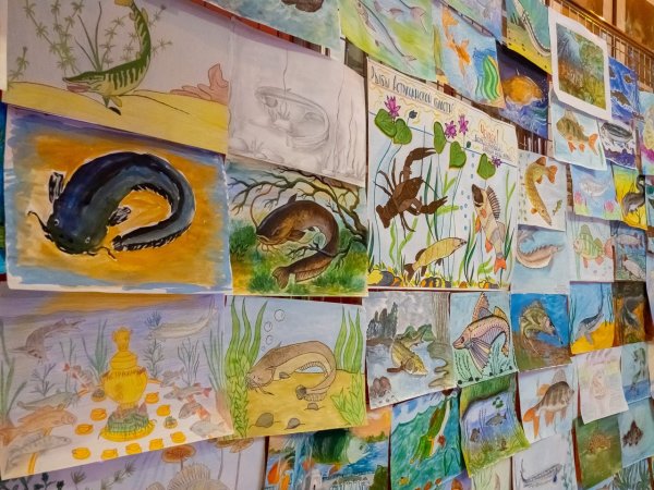 Чистый взгляд конкурс