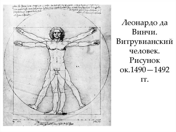Рисунок Леонардо да Винчи (витрувианского человека)