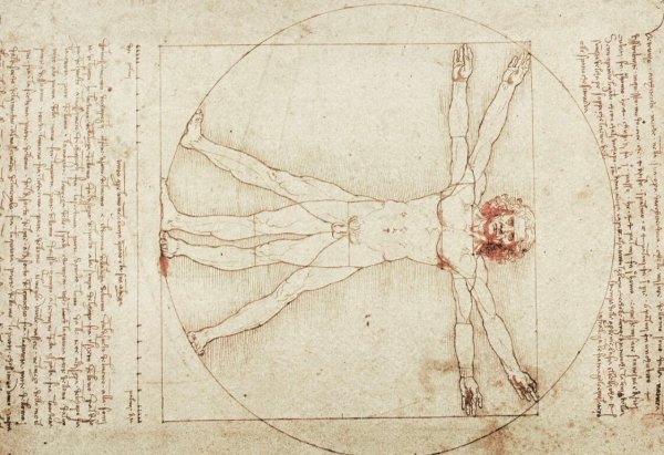 Человек Леонардо да Винчи