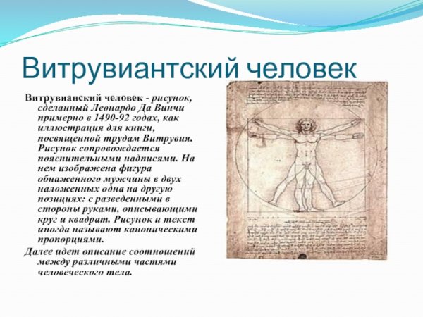 Рисунок Леонардо да Винчи Витрувианский человек