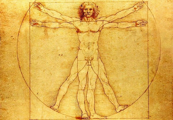 Человек Леонардо да Винчи